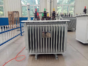 S11-M-100油浸式變壓器