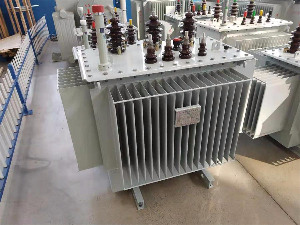 S11-M-315/10/0.4全密封油浸式變壓器