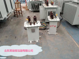 D13-M-3/10/0.23單相變壓器價(jià)格